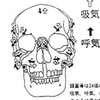 前歯にインプラントはお勧めしない