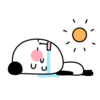 昨日と違って・・・
