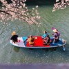 Spring had come and 🌸 Blooming !!
