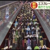 【う、動かしたい....】鹿児島県庁のエスカレーターに並べられた633本の焼酎。