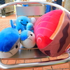 高知ユナイテッドSCファン感謝祭（J3入会報告会）に行ってきました（前）