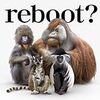 カラオケで歌いたい曲とreboot~夢の諦め方について~