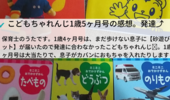 こどもちゃれんじ1歳5ヶ月号の感想。知育性高め、バックにおもちゃを詰める練習が出来るようになったよ