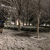 寒い日々にカシミヤセーター