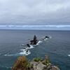 旅の思い出～その４１～北海道・神威岬へ