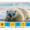 暑中お見舞い申し上げます