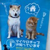 猫がみつかる