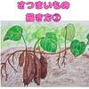 【かんたん】サツマイモの描き方2日目【クレヨン・鉛筆】