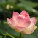 なおとおかねの話
