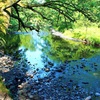 新しい時代の流れと調和して生きるには