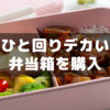 一回りデカいサーモスの弁当箱を購入した話