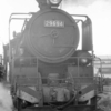 29694