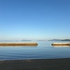 「食べられる魚が釣りたい」ついに叶う。