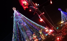 記事を見る