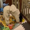 【備忘録】療育手帳（A判定）の三歳後半になる娘の成長。マイペースに成長中、噛み癖だけは直したい