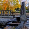 並木公園の秋～つくば市とその周辺の風景写真案内（２３７）