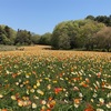 国営武蔵丘陵森林公園