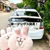 これが実態Σ(･ω･ﾉ)ﾉ！シェムリアップのローカルエリアでたった徒歩往復10分の距離で見かけたプリウスの数がハンパないわ💦