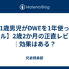 【1歳男児がDWEを1年使ったリアル】2歳2か月の正直レビュー｜効果はある？