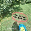 遠くの人に読んでもらえたことを忘れないで。