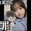 猫の件で炎上した尾木波菜さん、謝罪に指原古参が思うこと【ノイミー/≠ME】