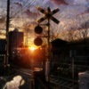 かなり焦りましたが、今年1 ほっとしました♫