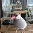 三流くらいが丁度良い