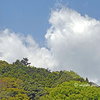 箱根に行く途中の風景