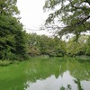 武蔵関公園（東京都練馬区）