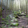 熊野古道縦走（大雲取越・小雲取越・小辺路） <上>