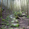 熊野古道縦走（大雲取越・小雲取越・小辺路） <上>