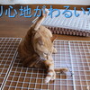 猫用の出窓を作りました