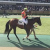 東京競馬2R メイクデビュー パドック直前予想 ◎10 ラーリオ