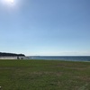 また、来てます。