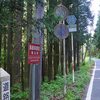 ふらっと武蔵野うどん店"甚五郎"とソロ保安林巡り3