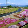 地元の方々の努力でこの景色が保たれているのを知ると頭が下がる思いだ