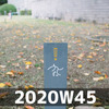 週報 2020W45