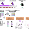 【腸内細菌】便から生み出す健康社会