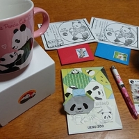 上野動物園パンダのお菓子お土産特集 我が家は缶バッチが蓋に