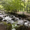 【山梨県】道志の森キャンプ場に行ってきた！