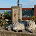 マイたびログ