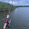 【釣り】初夏の激闘⚔️今シーズン開幕戦🎣〜怪魚釣行〜