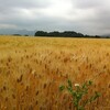 飛騨高山から越前プチツアー　(^_^)