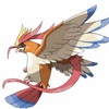 低空飛行は絶対しないで！！ピジョット！！【ポケモン図鑑解読シリーズ】
