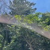 梅雨の兆し　憂さ晴らし