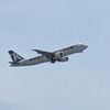 先週は空港通いの毎日でした(笑)本日店頭イベント開催です【ペットバルーン・中古品・ADA・買い取り・大阪】