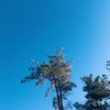 １１月３０日