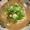 麺屋提灯　ラーメン
