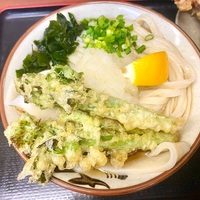 讃岐うどん いわい（十条）【日替わり】菜の花天レモンおろしぶっかけうどん•中