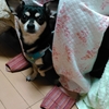 患者さんのご家族を紹介します。−秋桜訪問看護ステーション